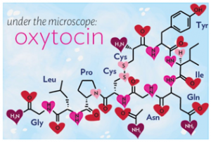 Oxytocin…-Kram og kærligheds hormonet. Godt til fødslen og livet generelt | Baby børn | Karmamilli